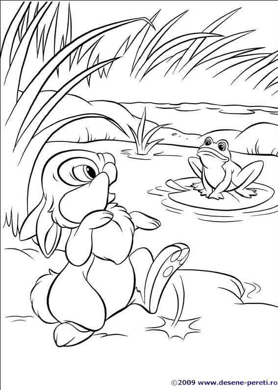 disney iepurasi desene colorat